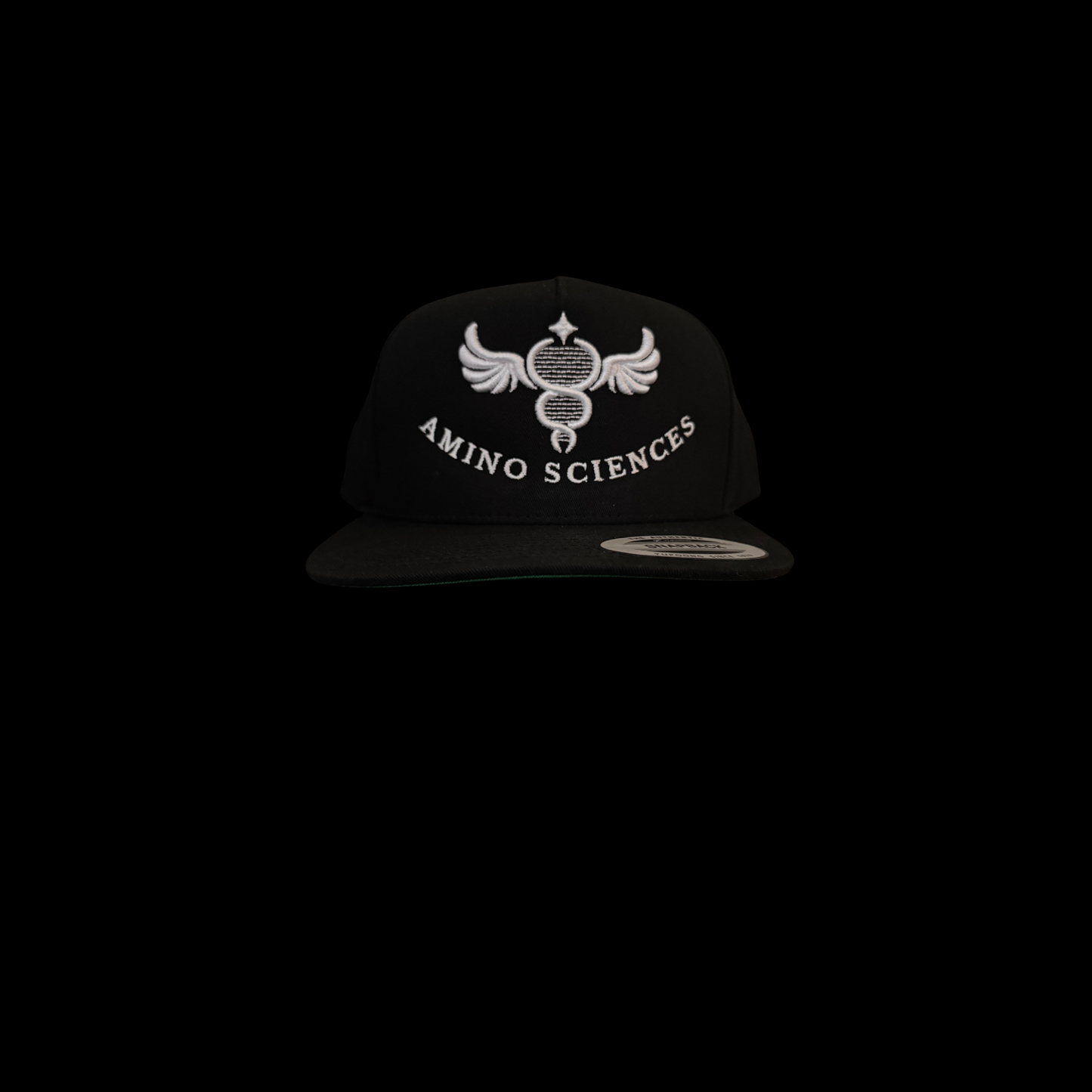 AMINO SCIENCES 3-D Embroidered Hat (Black)